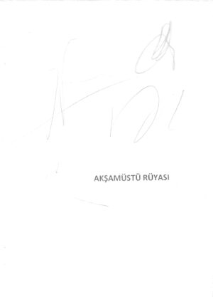 Akşam Üstü Rüyası-1