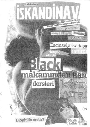 Bir Adet Sahte İskandinav